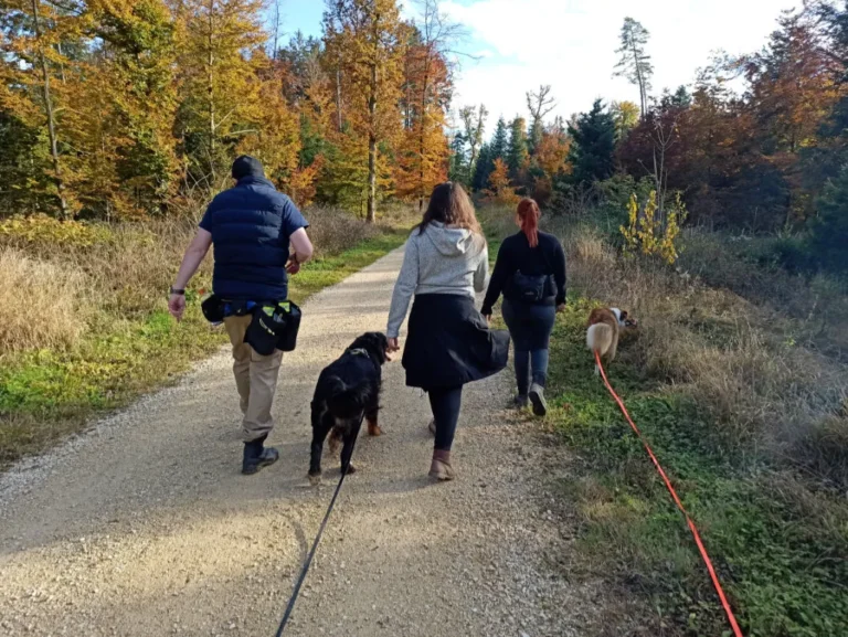 Offenheit und Transparenz in der Hundeschule und Hundepension Wotans Tierbetreuung Offenheit und Transparenz in der Hundeschule und Hundepension Wotans Tierbetreuung