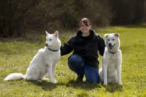 Wir bieten ein breites Betreuungsangebot in der Hundeschule und Hundepension Wotans Tierbetreuung