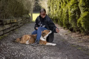Hundeschule Wotans Tierbetreuung - individuell und kompetent