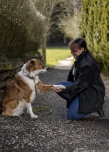 In der Hundeschule und Hundepension Wotans Tierbetreuung können bieten wir professionelle Tierpflege und medizinische Betreuung