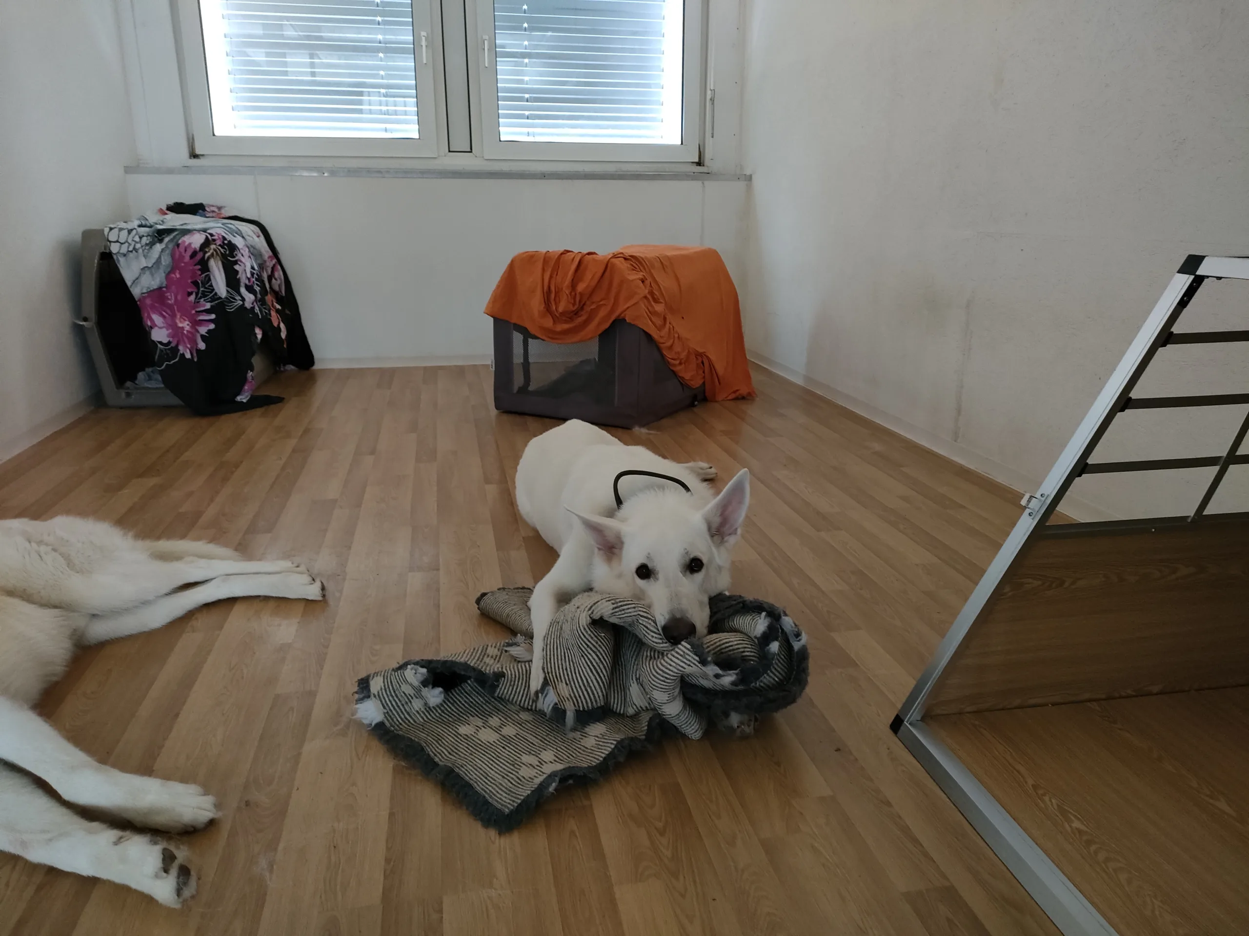 Schliessung Standort Aarwangen