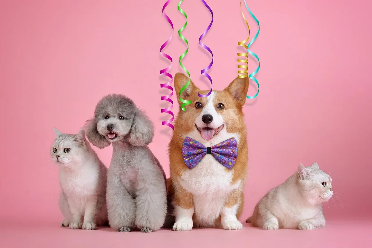 Wir bleiben offen 06.-12.11.2023