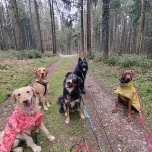 Lernspaziergang Alltagsthemen