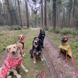 Lernspaziergang Alltagsthemen