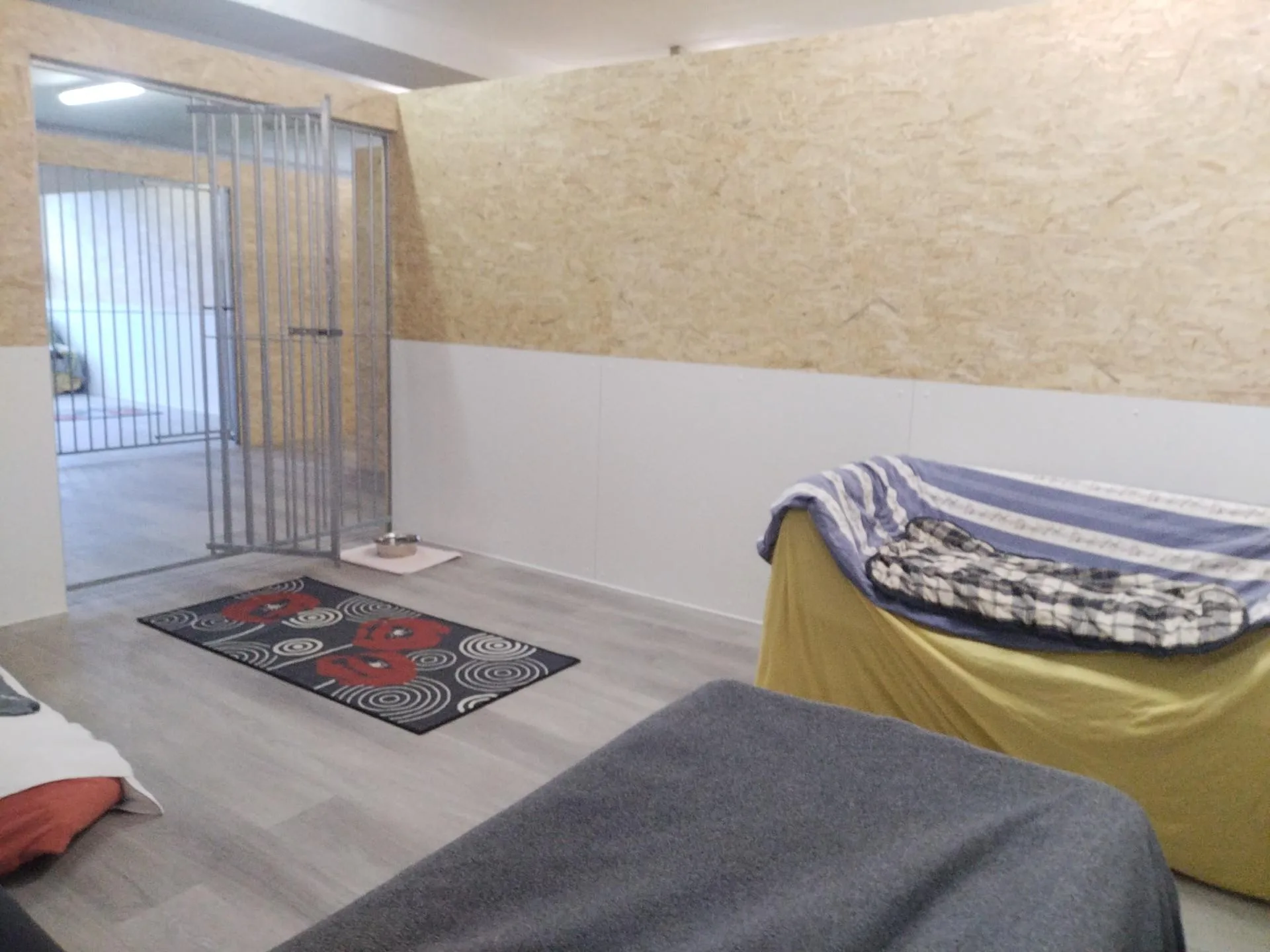 Balance zwischen Auslastung und Ruhezeiten in der Hundeschule und Hundepension Wotans Tierbetreuung Wotans-Tierbetreuung-Hundepension-in-Obersteckholz-Hundeparadies