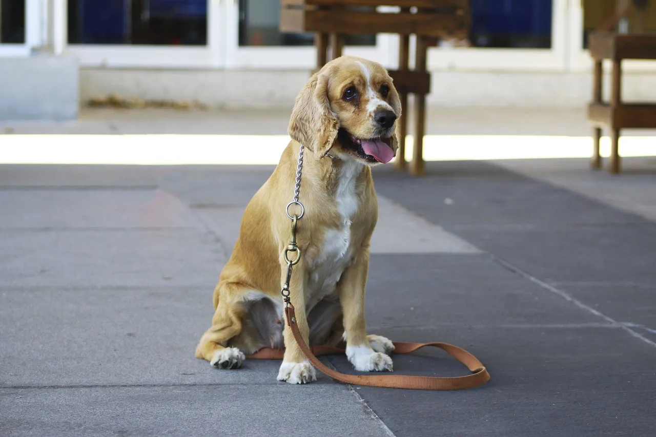 Lernspaziergang Alltagsthemen