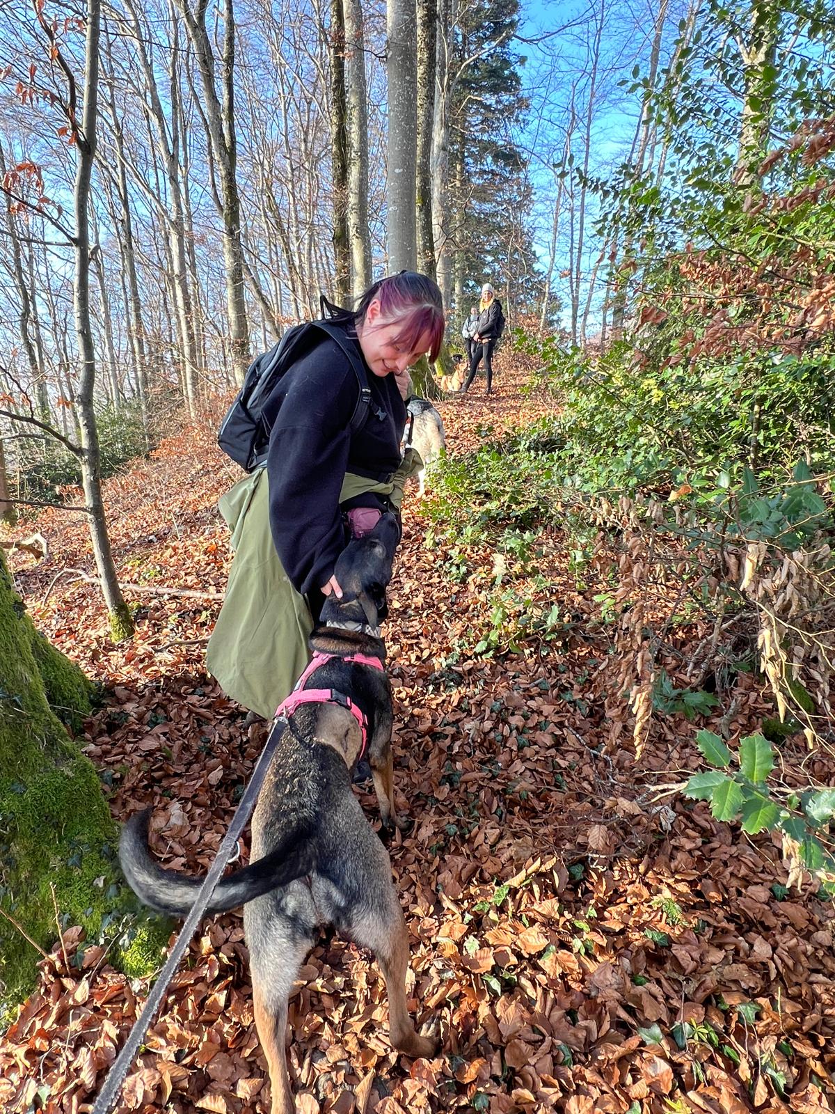 Gemeinsame Wanderung