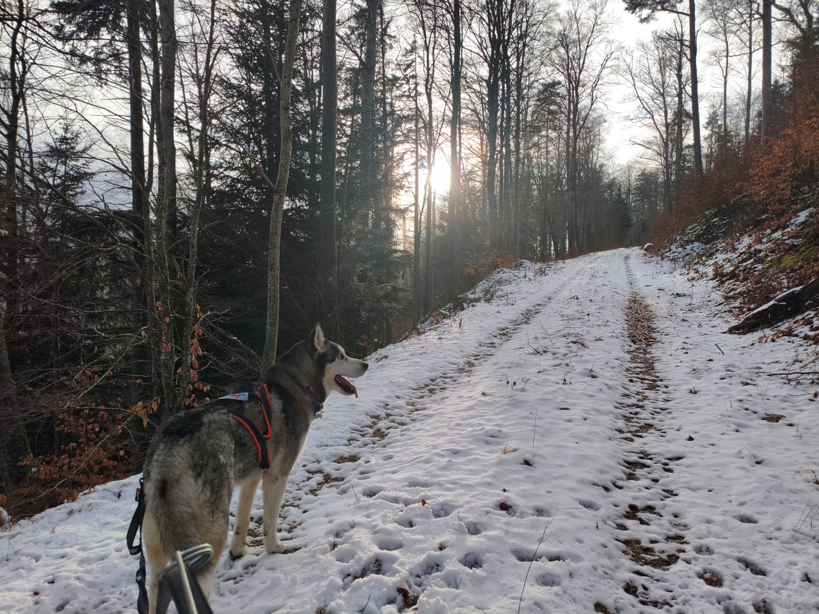 Gemeinsame Wanderung