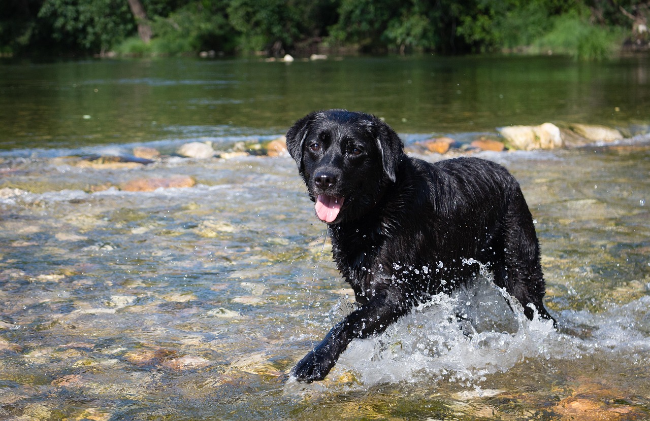 Gemeinsamer Spaziergang zum Beginn der Sommerzeit