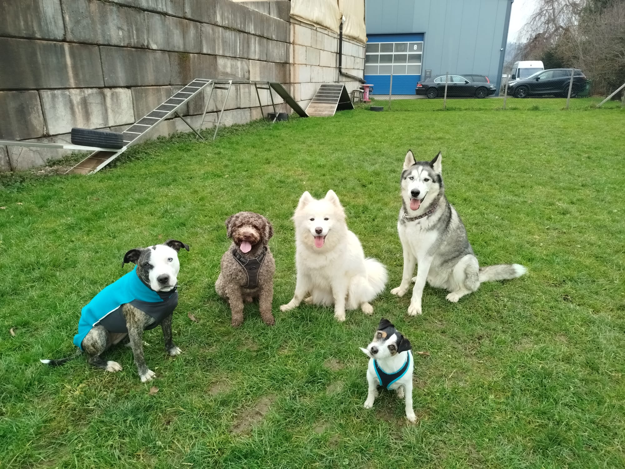 Freilauf in der Gruppe